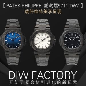 Patek Philippe Nautilus Fashionable Watch - PPWT053
